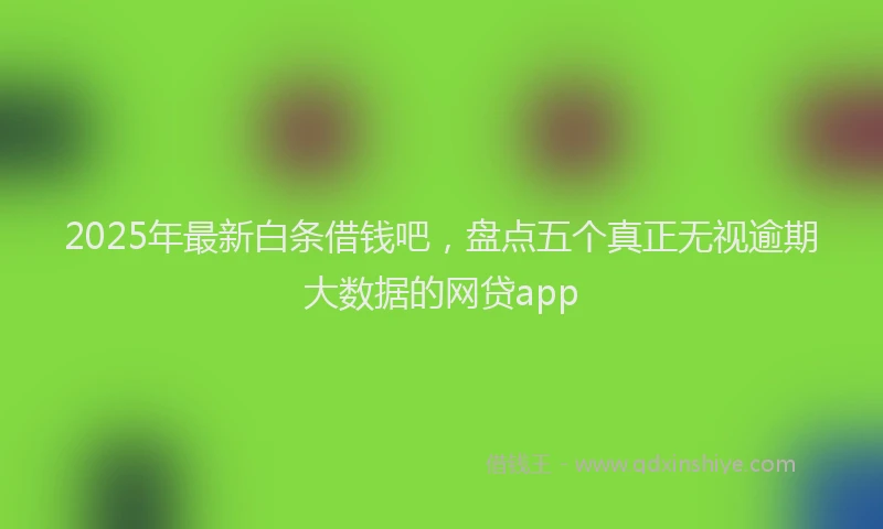 2025年最新白条借钱吧，盘点五个真正无视逾期大数据的网贷app