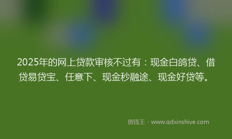 2025年的网上贷款审核不过有：现金白鸽贷、借贷易贷宝、任意下、现金秒融途、现金好贷等。