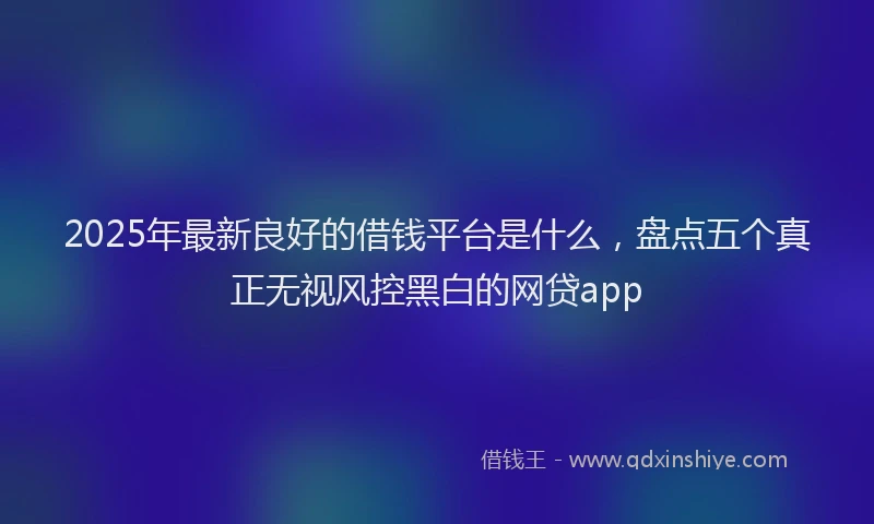 2025年最新良好的借钱平台是什么，盘点五个真正无视风控黑白的网贷app
