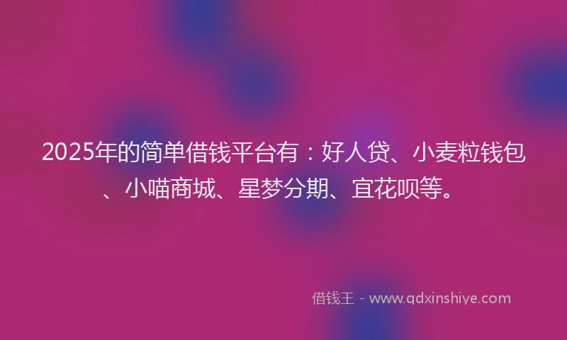 2025年的简单借钱平台有：好人贷、小麦粒钱包、小喵商城、星梦分期、宜花呗等。