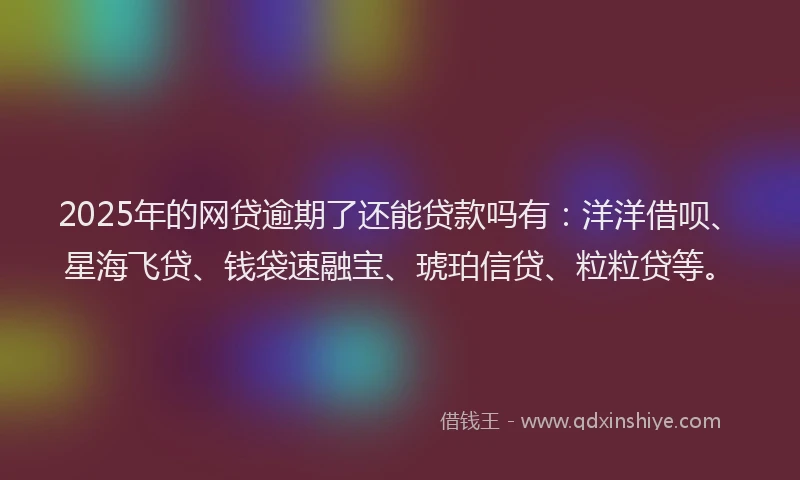 2025年的网贷逾期了还能贷款吗有：洋洋借呗、星海飞贷、钱袋速融宝、琥珀信贷、粒粒贷等。