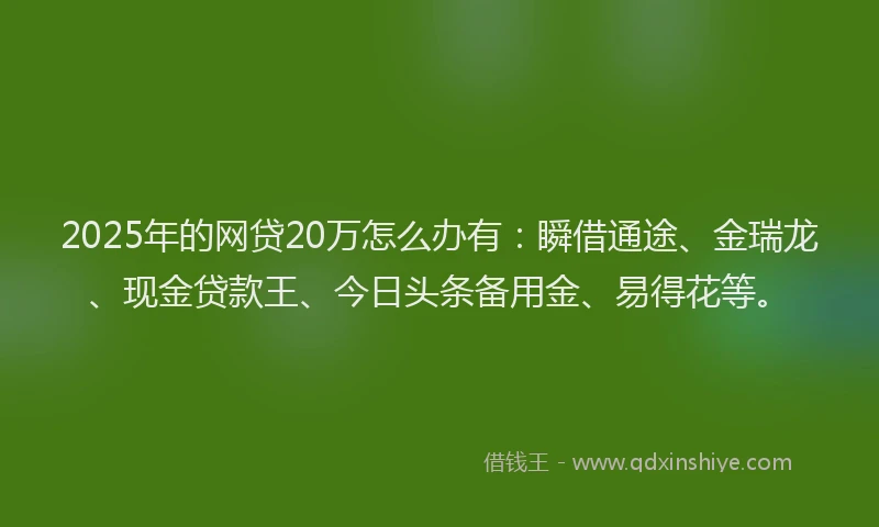 2025年的网贷20万怎么办有：瞬借通途、金瑞龙、现金贷款王、今日头条备用金、易得花等。