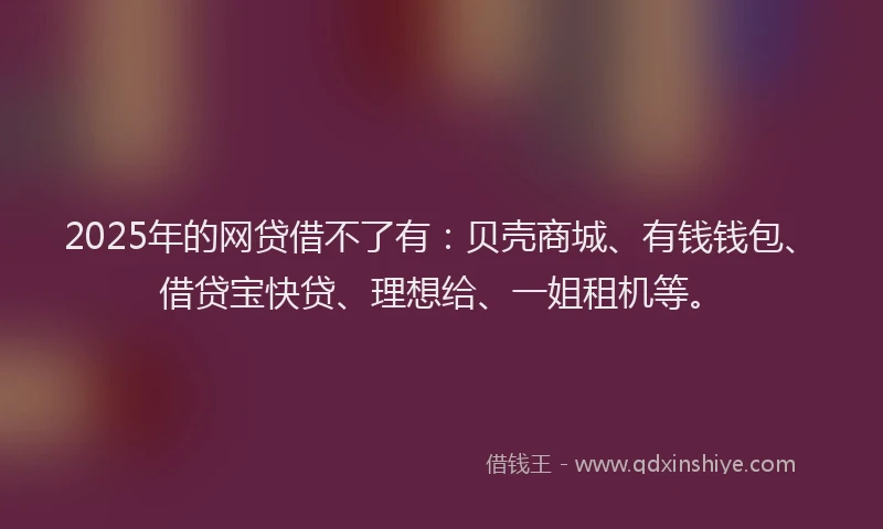 2025年的网贷借不了有：贝壳商城、有钱钱包、借贷宝快贷、理想给、一姐租机等。