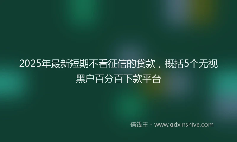 2025年最新短期不看征信的贷款，概括5个无视黑户百分百下款平台