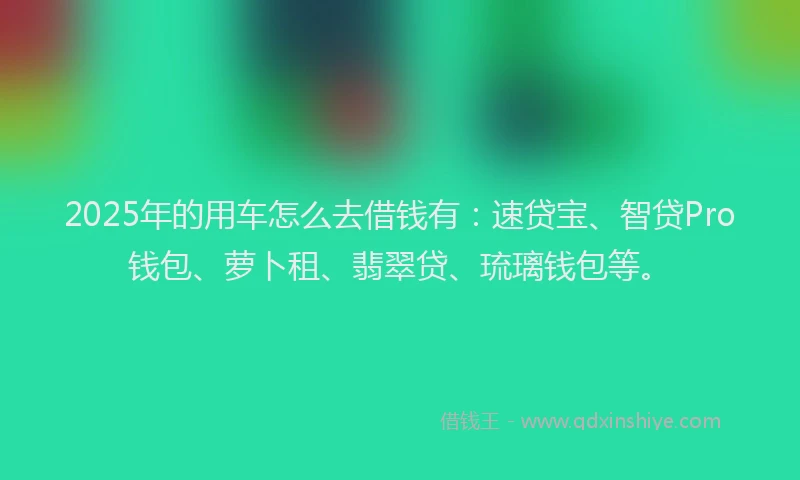 2025年的用车怎么去借钱有：速贷宝、智贷Pro钱包、萝卜租、翡翠贷、琉璃钱包等。