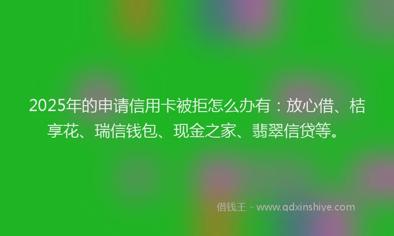 2025年的申请信用卡被拒怎么办有:放心借、桔享花、瑞信钱包、现金之家、翡翠信贷等。