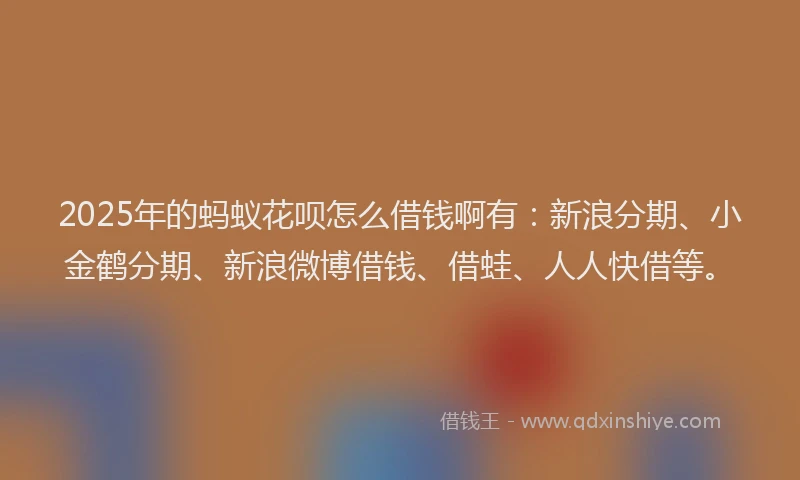 2025年的蚂蚁花呗怎么借钱啊有：新浪分期、小金鹤分期、新浪微博借钱、借蛙、人人快借等。