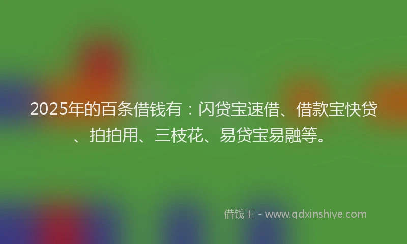 2025年的百条借钱有：闪贷宝速借、借款宝快贷、拍拍用、三枝花、易贷宝易融等。