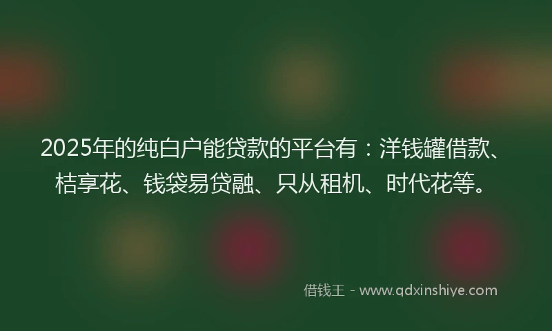 2025年的纯白户能贷款的平台有：洋钱罐借款、桔享花、钱袋易贷融、只从租机、时代花等。