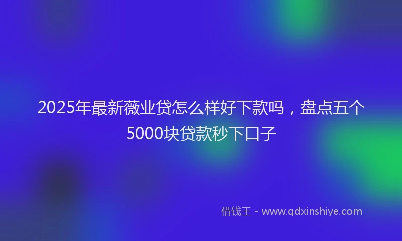 2025年最新薇业贷怎么样好下款吗，盘点五个5000块贷款秒下口子