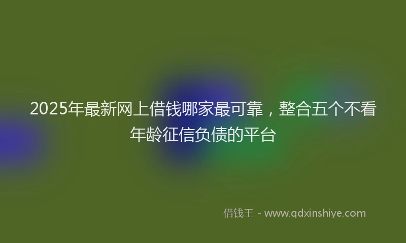 2025年最新网上借钱哪家最可靠，整合五个不看年龄征信负债的平台
