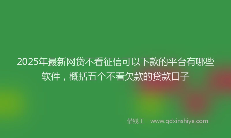 2025年最新网贷不看征信可以下款的平台有哪些软件，概括五个不看欠款的贷款口子