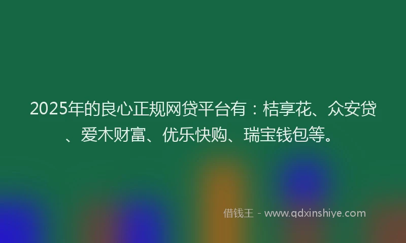 2025年的良心正规网贷平台有：桔享花、众安贷、爱木财富、优乐快购、瑞宝钱包等。