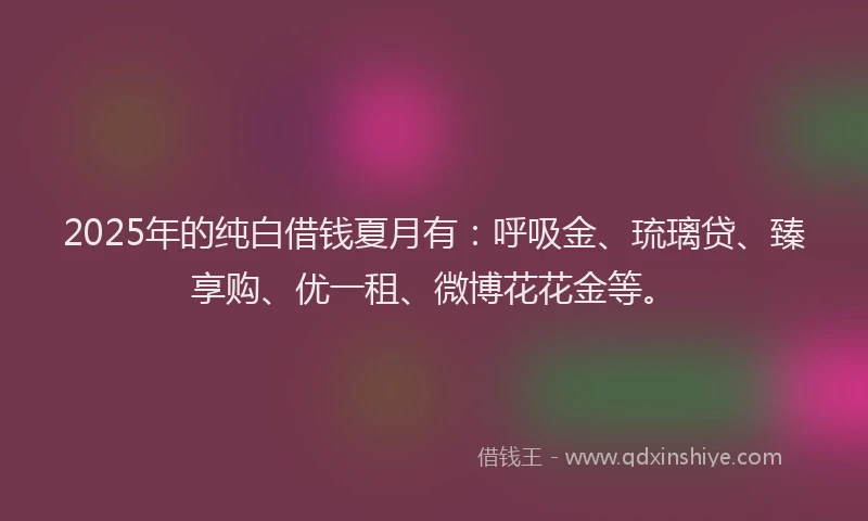 2025年的纯白借钱夏月有：呼吸金、琉璃贷、臻享购、优一租、微博花花金等。