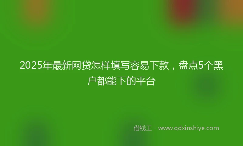 2025年最新网贷怎样填写容易下款，盘点5个黑户都能下的平台
