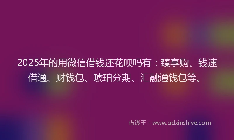 2025年的用微信借钱还花呗吗有：臻享购、钱速借通、财钱包、琥珀分期、汇融通钱包等。