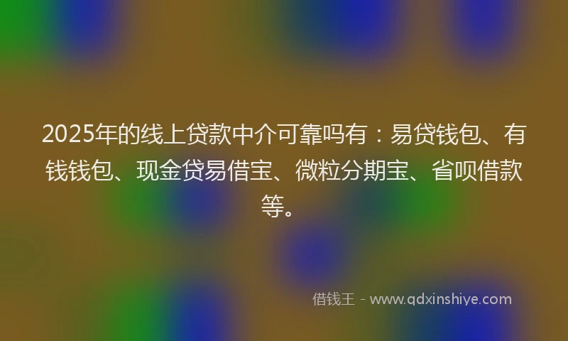 2025年的线上贷款中介可靠吗有：易贷钱包、有钱钱包、现金贷易借宝、微粒分期宝、省呗借款等。