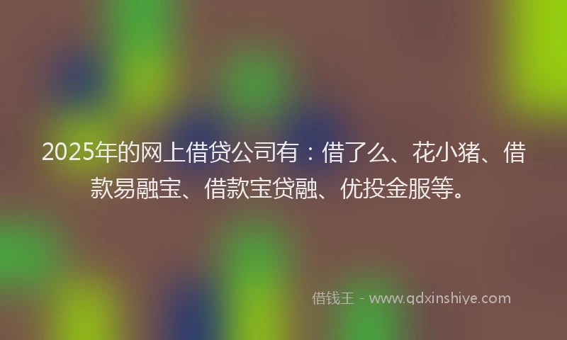 2025年的网上借贷公司有：借了么、花小猪、借款易融宝、借款宝贷融、优投金服等。