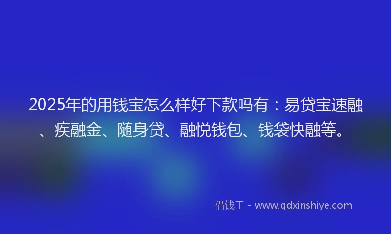 2025年的用钱宝怎么样好下款吗有：易贷宝速融、疾融金、随身贷、融悦钱包、钱袋快融等。