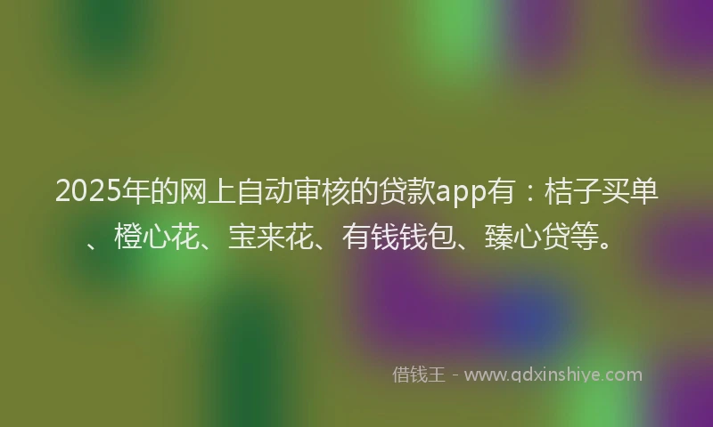 2025年的网上自动审核的贷款app有：桔子买单、橙心花、宝来花、有钱钱包、臻心贷等。