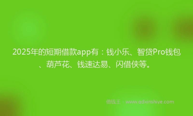 2025年的短期借款app有：钱小乐、智贷Pro钱包、葫芦花、钱速达易、闪借侠等。
