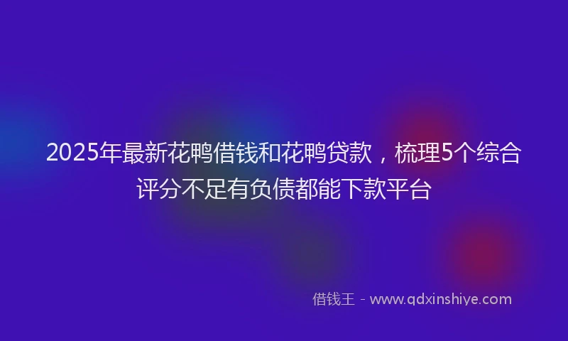 2025年最新花鸭借钱和花鸭贷款，梳理5个综合评分不足有负债都能下款平台