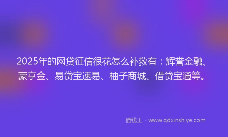 2025年的网贷征信很花怎么补救有：辉誉金融、蒙享金、易贷宝速易、柚子商城、借贷宝通等。