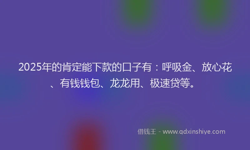 2025年的肯定能下款的口子有：呼吸金、放心花、有钱钱包、龙龙用、极速贷等。