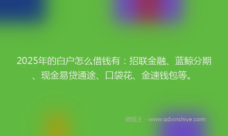2025年的白户怎么借钱有：招联金融、蓝鲸分期、现金易贷通途、口袋花、金速钱包等。