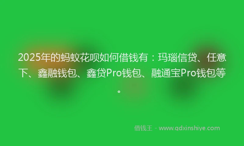 2025年的蚂蚁花呗如何借钱有：玛瑙信贷、任意下、鑫融钱包、鑫贷Pro钱包、融通宝Pro钱包等。