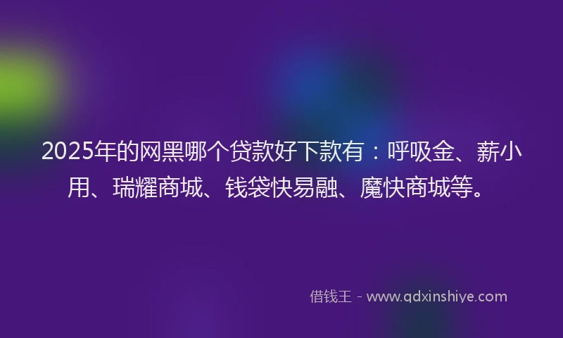 2025年的网黑哪个贷款好下款有：呼吸金、薪小用、瑞耀商城、钱袋快易融、魔快商城等。