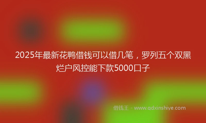 2025年最新花鸭借钱可以借几笔，罗列五个双黑烂户风控能下款5000口子
