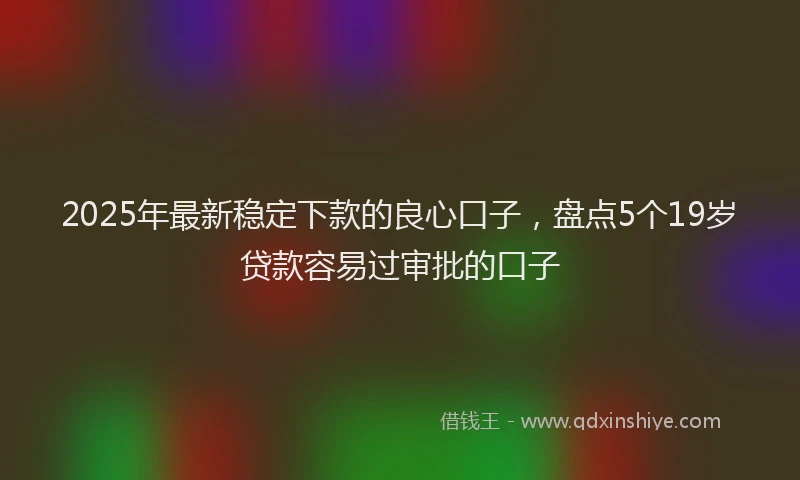 2025年最新稳定下款的良心口子，盘点5个19岁贷款容易过审批的口子