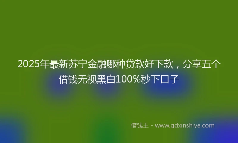 2025年最新苏宁金融哪种贷款好下款，分享五个借钱无视黑白100%秒下口子