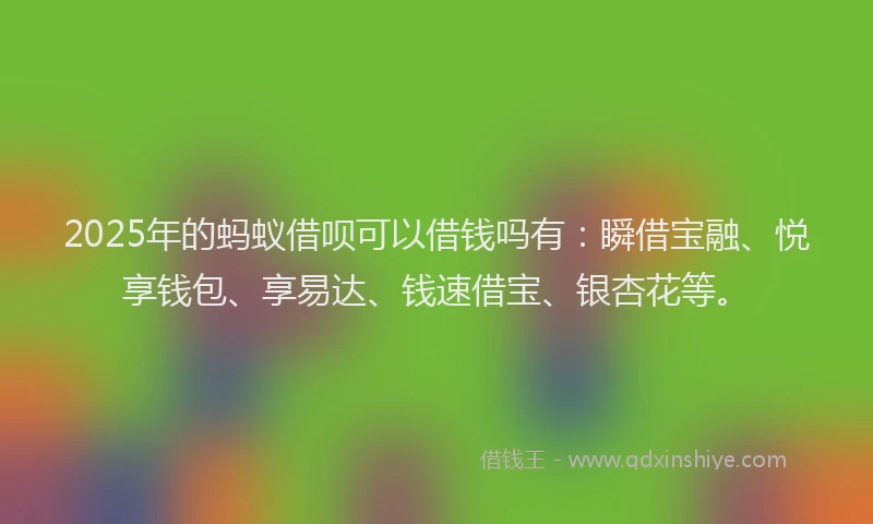 2025年的蚂蚁借呗可以借钱吗有：瞬借宝融、悦享钱包、享易达、钱速借宝、银杏花等。