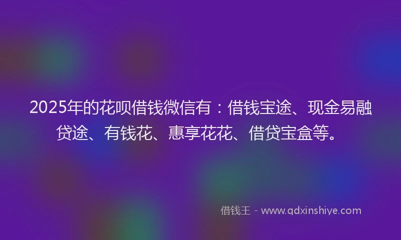 2025年的花呗借钱微信有：借钱宝途、现金易融贷途、有钱花、惠享花花、借贷宝盒等。