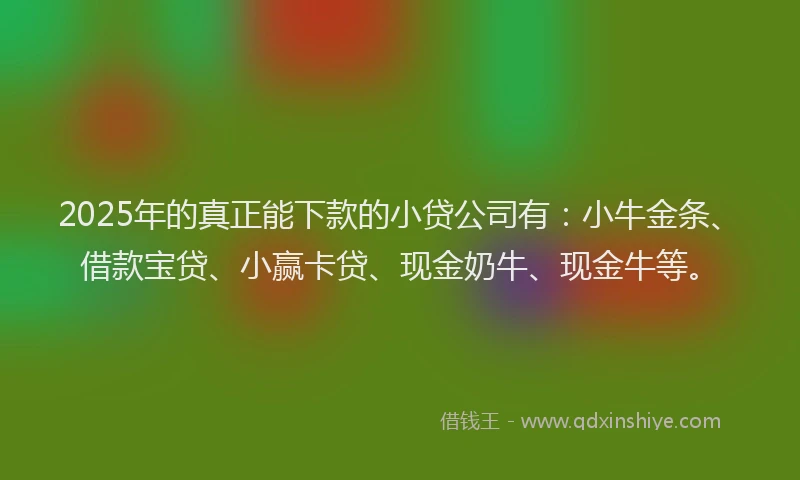 2025年的真正能下款的小贷公司有：小牛金条、借款宝贷、小赢卡贷、现金奶牛、现金牛等。