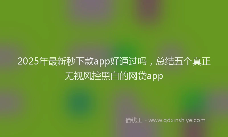 2025年最新秒下款app好通过吗，总结五个真正无视风控黑白的网贷app