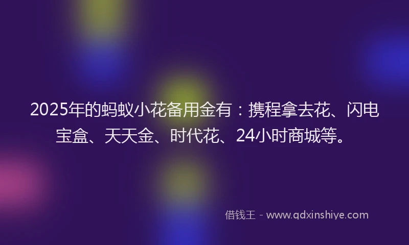 2025年的蚂蚁小花备用金有：携程拿去花、闪电宝盒、天天金、时代花、24小时商城等。