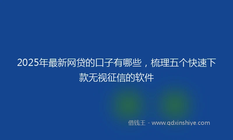 2025年最新网贷的口子有哪些，梳理五个快速下款无视征信的软件