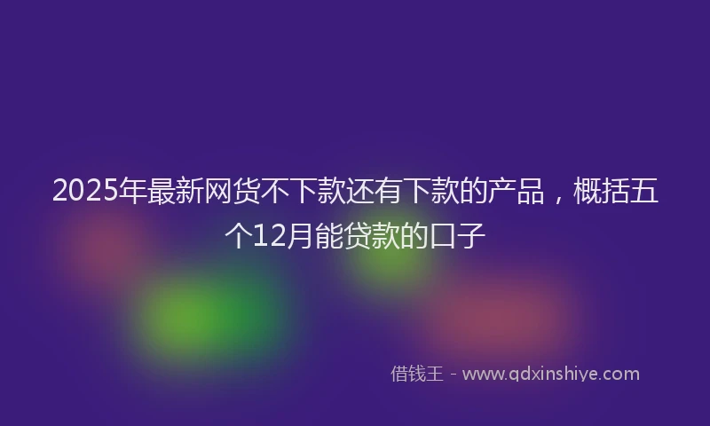 2025年最新网货不下款还有下款的产品，概括五个12月能贷款的口子