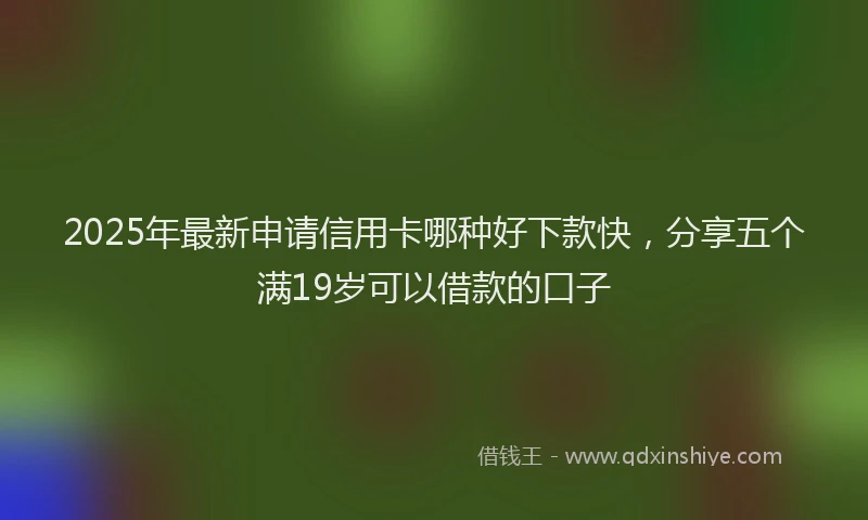 2025年最新申请信用卡哪种好下款快，分享五个满19岁可以借款的口子