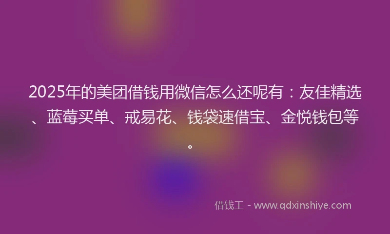 2025年的美团借钱用微信怎么还呢有：友佳精选、蓝莓买单、戒易花、钱袋速借宝、金悦钱包等。