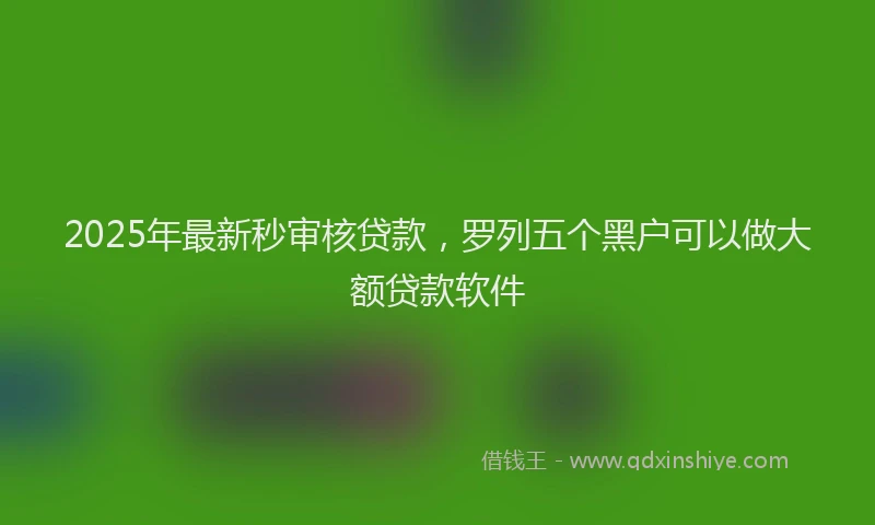 2025年最新秒审核贷款，罗列五个黑户可以做大额贷款软件