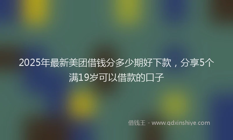 2025年最新美团借钱分多少期好下款，分享5个满19岁可以借款的口子