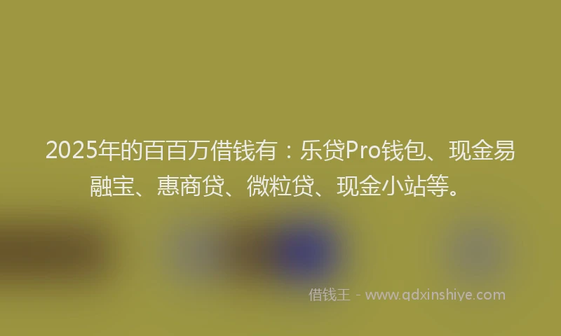 2025年的百百万借钱有：乐贷Pro钱包、现金易融宝、惠商贷、微粒贷、现金小站等。