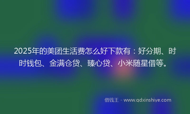 2025年的美团生活费怎么好下款有：好分期、时时钱包、金满仓贷、臻心贷、小米随星借等。