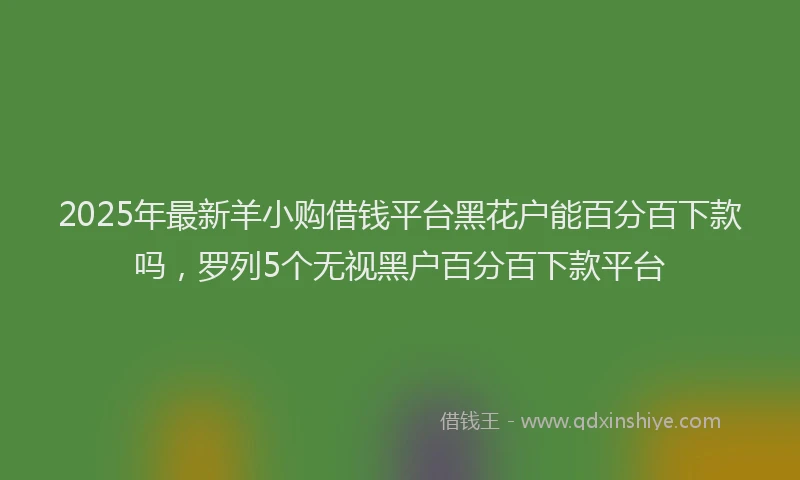 2025年最新羊小购借钱平台黑花户能百分百下款吗，罗列5个无视黑户百分百下款平台