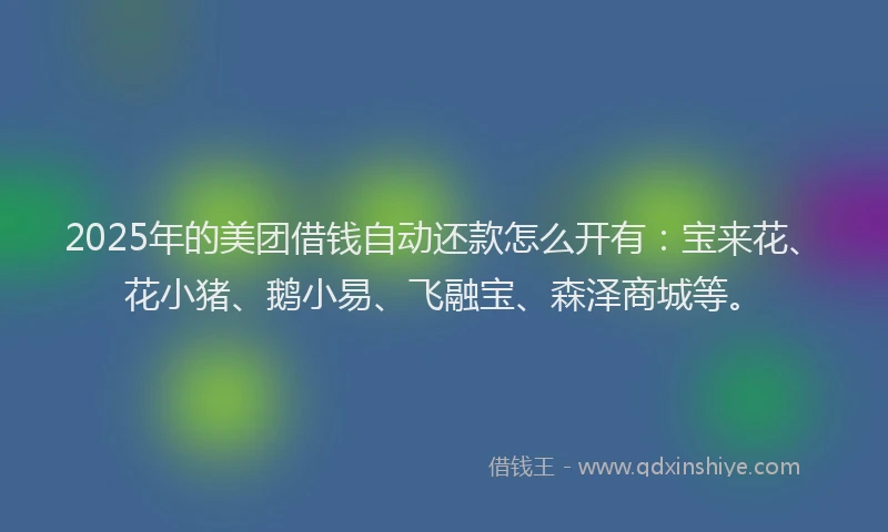 2025年的美团借钱自动还款怎么开有：宝来花、花小猪、鹅小易、飞融宝、森泽商城等。