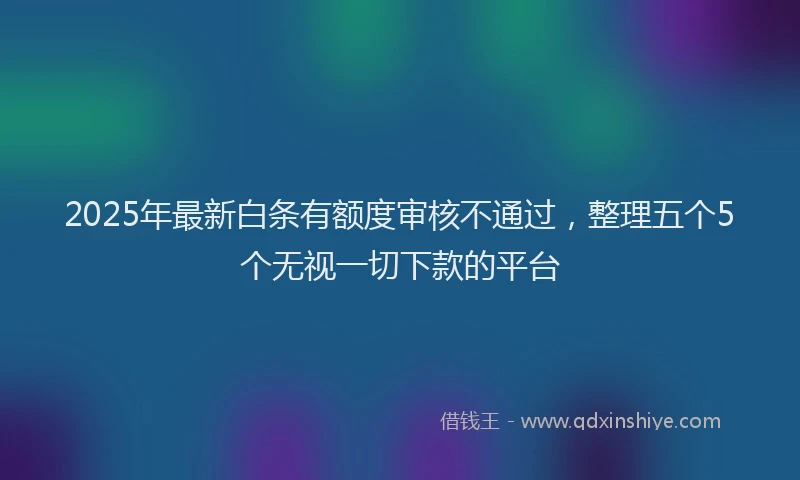 2025年最新白条有额度审核不通过，整理五个5个无视一切下款的平台